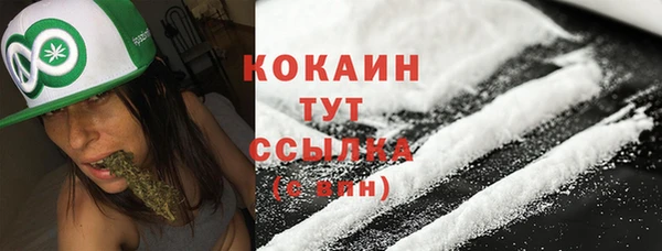 apvp Кукмор