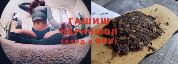 твердый Михайлов