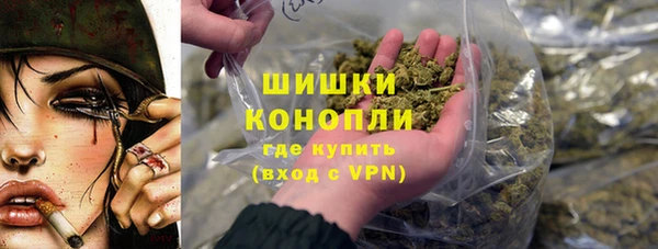 гашик Верея